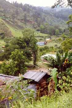 Start of trail up Pico Duarte