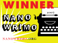 NaNoWriMo Winner, 2007